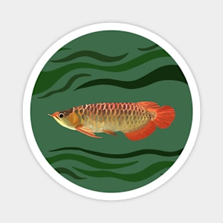 Orange Arowana Fish Green waves Magnet